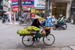 vietnam-1074